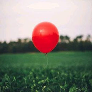 Meet your Posher, Babe